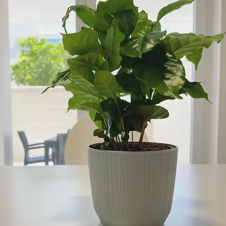 Mediterra Appartement Lecce